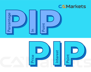 What is a Pip in Forex？